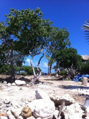 Westpunt Curacao for sale building land directly on the sea with great views,  Westpunt