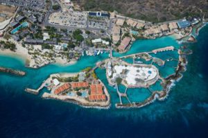 Apartment for rent Curacao Ocean Resort   CURACAO  Curacao Ocean Resort,  