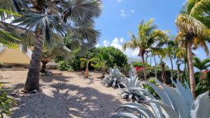 Bottelier Curacao House for sale with pool and 6 bedrooms,  Willemstad